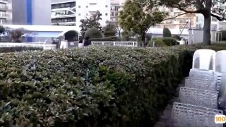 国产激情久久久久影院_加勒比无码一区二区三区_老熟妇性色老熟妇🐓